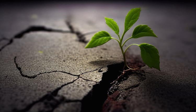 drug rehabilitation center near me